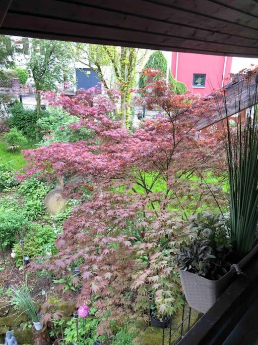 Willkommen Im Casa Felice, Der Wohlfuehl Oase Mit Balkon, 4 Betten Und Homeoffice Platz Appartement