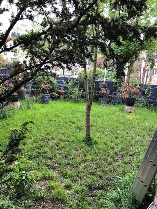 Willkommen Im Casa Felice, Der Wohlfuehl Oase Mit Balkon, 4 Betten Und Homeoffice Platz Appartement